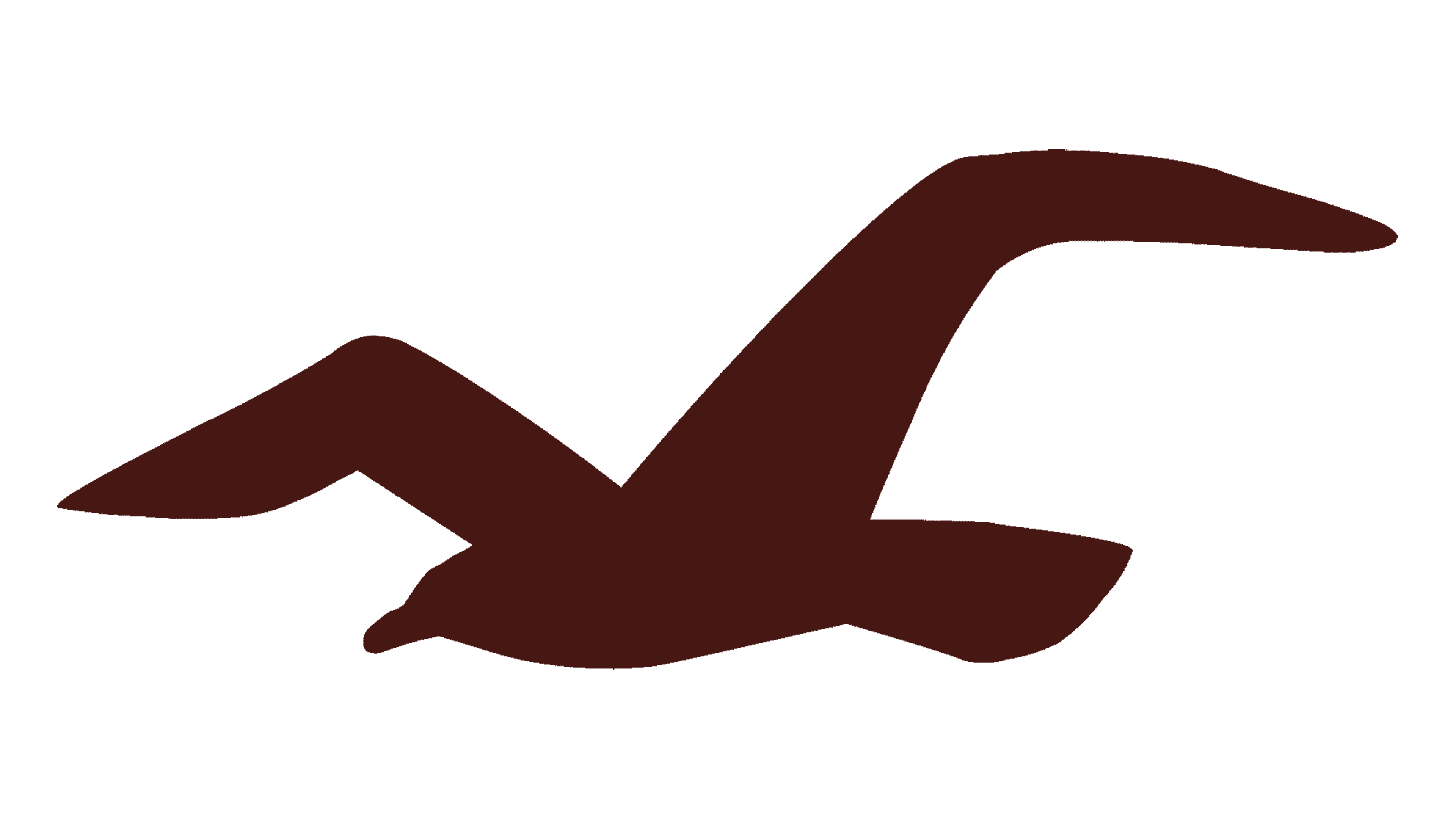 Hollister Logo